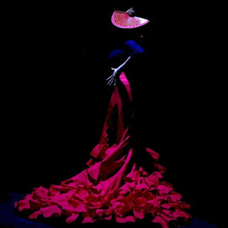 fan and dress