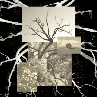 tree in collage