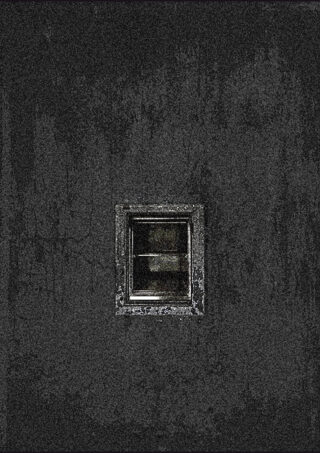 grainy dumbwaiter