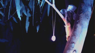 necklace in tree