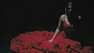flamenco dancer